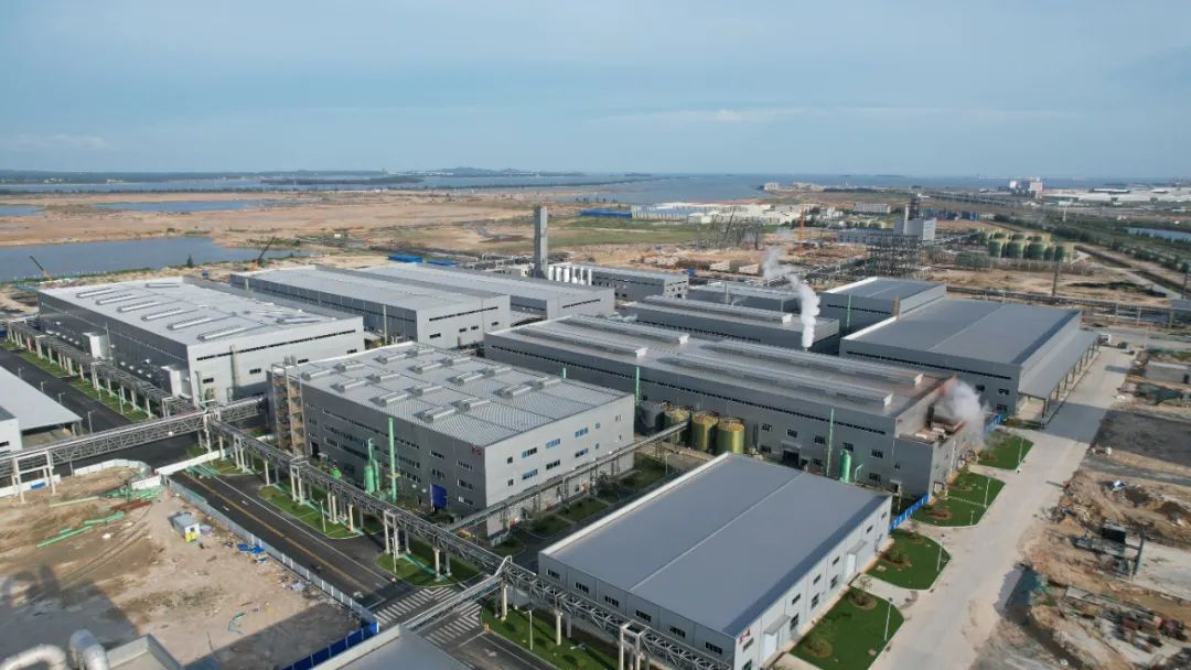 1766967624645645.jpg 1766648941834074.jpg